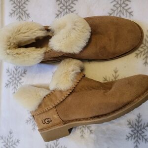 Ugg low boots